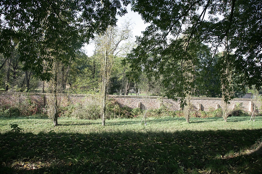 Img 062.jpg